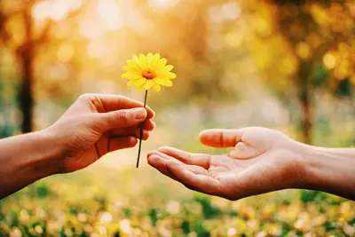A Drop of Kindness